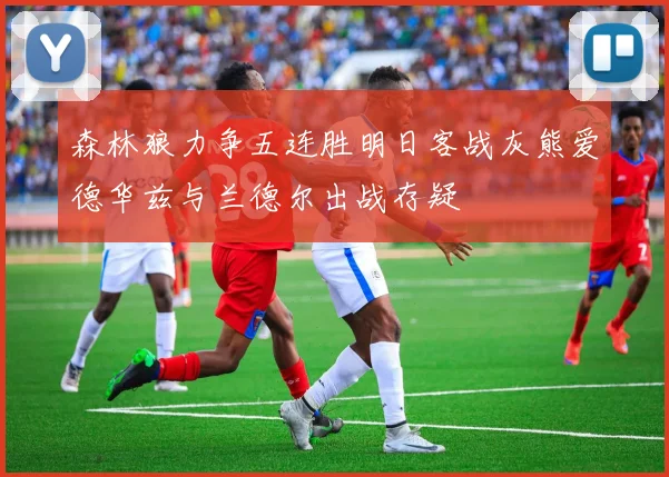 森林狼力争五连胜明日客战灰熊爱德华兹与兰德尔出战存疑