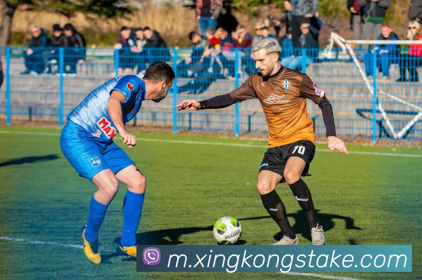 星空体育发展历程