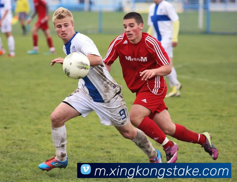 黄蜂主帅称布里奇斯愿带伤出战积极防守对抗最强对手